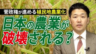 菅政権が進める植民地農業化 日本の農業が破壊される？（室伏謙一）