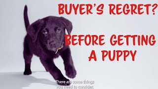 Buyers Regret. Before Getting a new PUPPY by Fuzzies Pet Grooming 130 views 9 months ago 2 minutes, 23 seconds