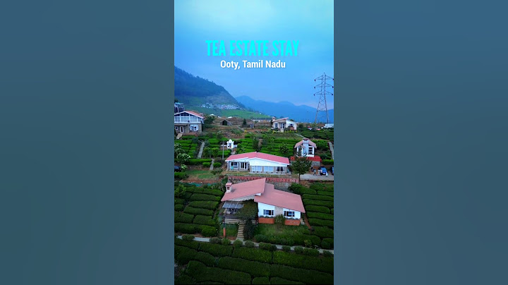 Best Resorts in Ooty | Budget Friendly Resorts In Ooty | Ooty stay for couples  | Ooty staycation