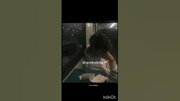 Collecting Introverts (25/50)#introvertsbelike#introvert#shortvideo#shorts#
