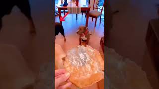 Adivinha Quem Aprontou?