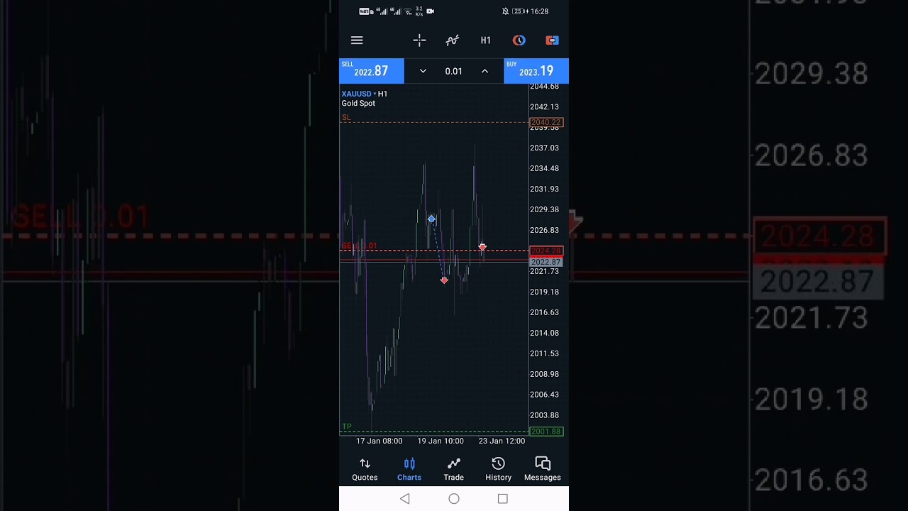 Unleash the Golden Mayhem: Teaming up to Conquer Challenges and Strike Gold! 💰🔥 Join our unstoppable