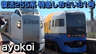 復活255系 特急しおさい81号 成東駅E259系10号との交換
