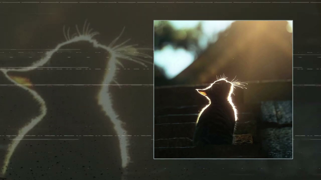 STS-51L - Devastation (Официальная премьера трека)