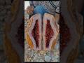 wow, a beautiful crystal stone found on a hidden river bank for $99999#redgeode #bloodcrystal #agate