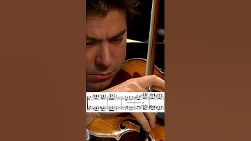 a moment for the celeste: dance of the sugar plum fairy from the Nutcracker #tchaikovsky #orchestra