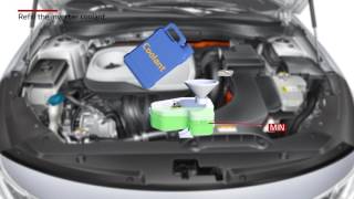 Optima Plug-In hybrid - Refill the inverter coolant (For EU)