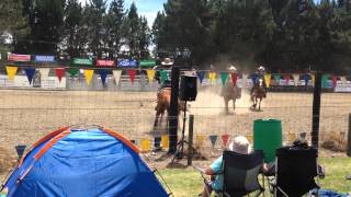 Millers Flat - Rodeo - Saddle bronc riding