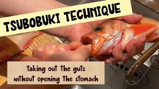Tsubobuki Technique~taking out the guts without opening the stomach~ by Tokyo Sushi Academy English Course / 東京すしアカデミー英語コース 2,330 views 2 years ago 1 minute