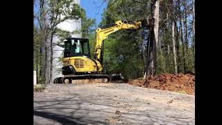 MINI EXCAVATOR VS HUGE TREE