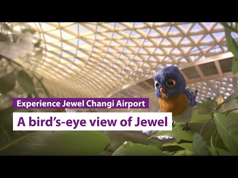 A bird’s-eye view of Jewel Changi Airport