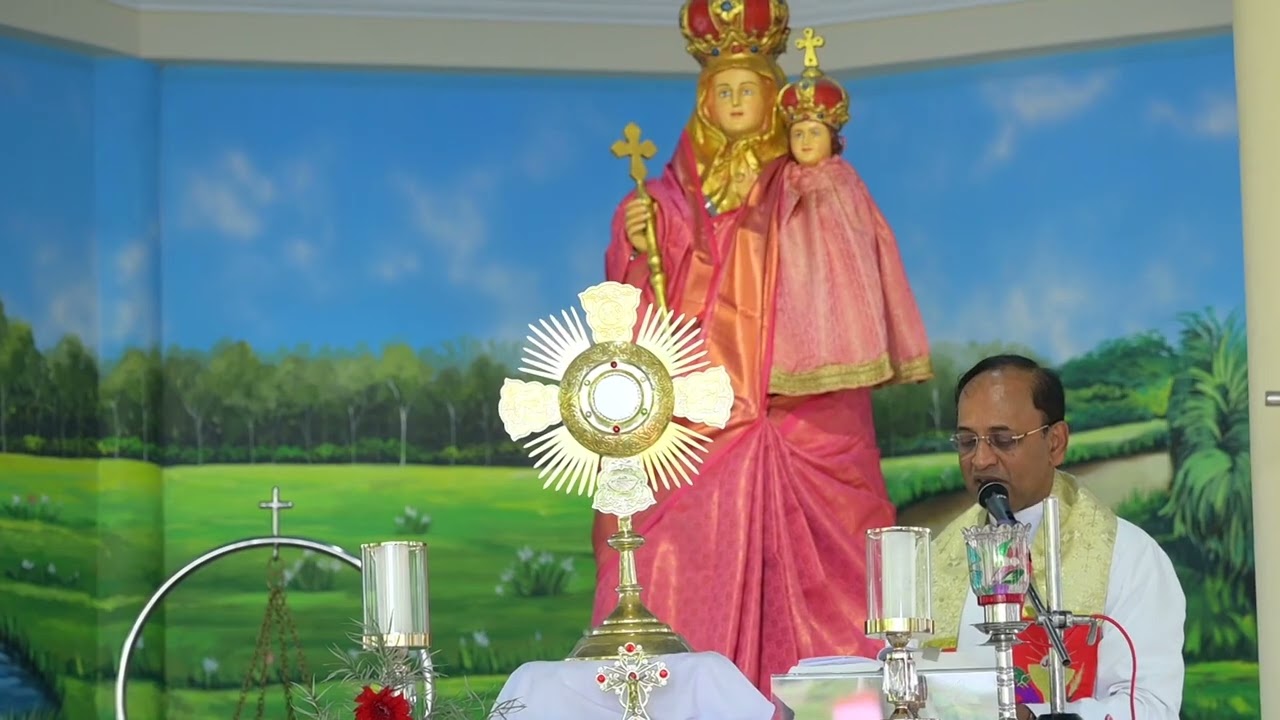 FEAST OF OUR LADY OF LOUDRES  AND DAY OF THE SICK | 11 FEBRUARY 2026 |