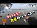 【浮きで】真昼のシーバス釣り！【後編】