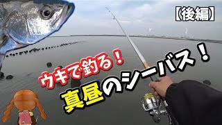 【浮きで】真昼のシーバス釣り！【後編】