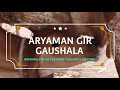 WORLD'S BEST GIR GAUDHAN | ARYAMAN GIR GAUSHALA | DEALERSHIP AVAILABLE | MO.9913191340