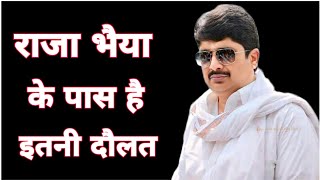 Raja Bhaiya Net Worth