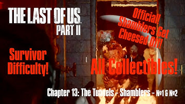 The Tunnels Shamblers & Collectibles, The Last of Us Part 2 Survivor Gameplay Walkthrough Guide