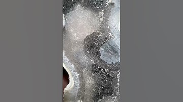 Which Ancient Coral Geode is your fave? #crystals #geodes #rocks #gems #shorts