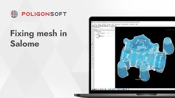 Correction of Errors in Meshes in the Salome Module