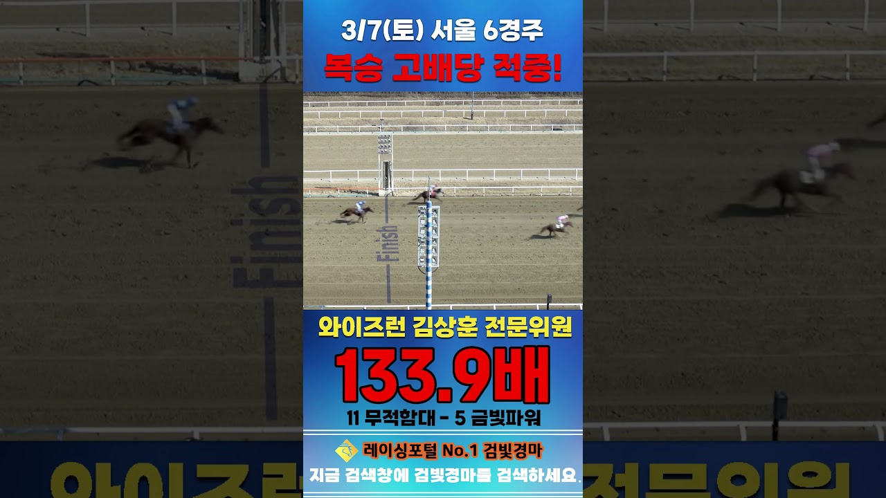 [서울 경마] 3월 7일 토요 6경주 와이즈런 김상훈 전문위원 복승 고배당 적중 #경마 #horse #한국마사회 #automobile #하이라이트 #비트코인 #뉴스 #게임