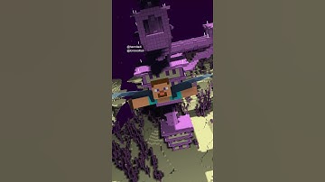 Minecraft Animation ||  Elytra Break in End City || The Worst feeling ever || #shorts