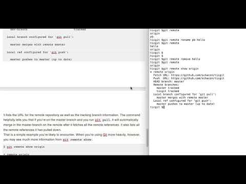git remote inspect