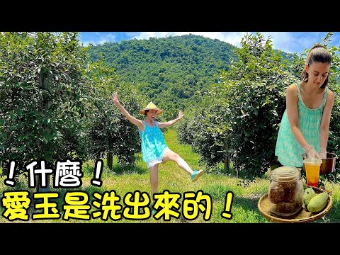 你知道愛玉是全球台灣獨有的嗎？👩🏻‍🌾🍹French Girl Learns How to Make All Natural Taiwanese Aiyu Jelly