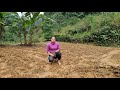 How To Build Garden Corn, Project Development Agriculture