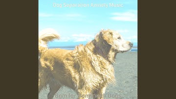 Pulsating Ambiance for Separation Anxiety