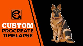 Alsatian Pet Portrait Ipad Pro Drawing Procreate Time Lapse Digital Art Speed Paint