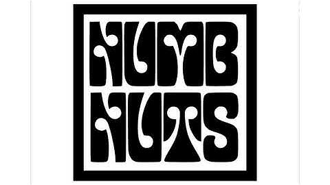 Numb Nuts - Drunkman song