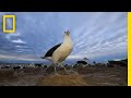 Conservation Efforts and Photography Insights