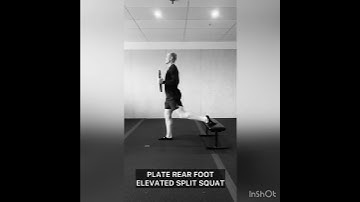Plate Rear Foot Elevated Split Squat