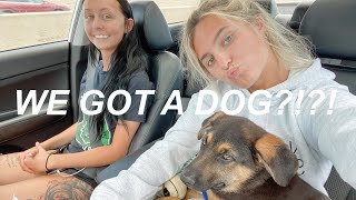 WE DROVE 3 HOURS TO GET A DOG AND THIS HAPPENED...