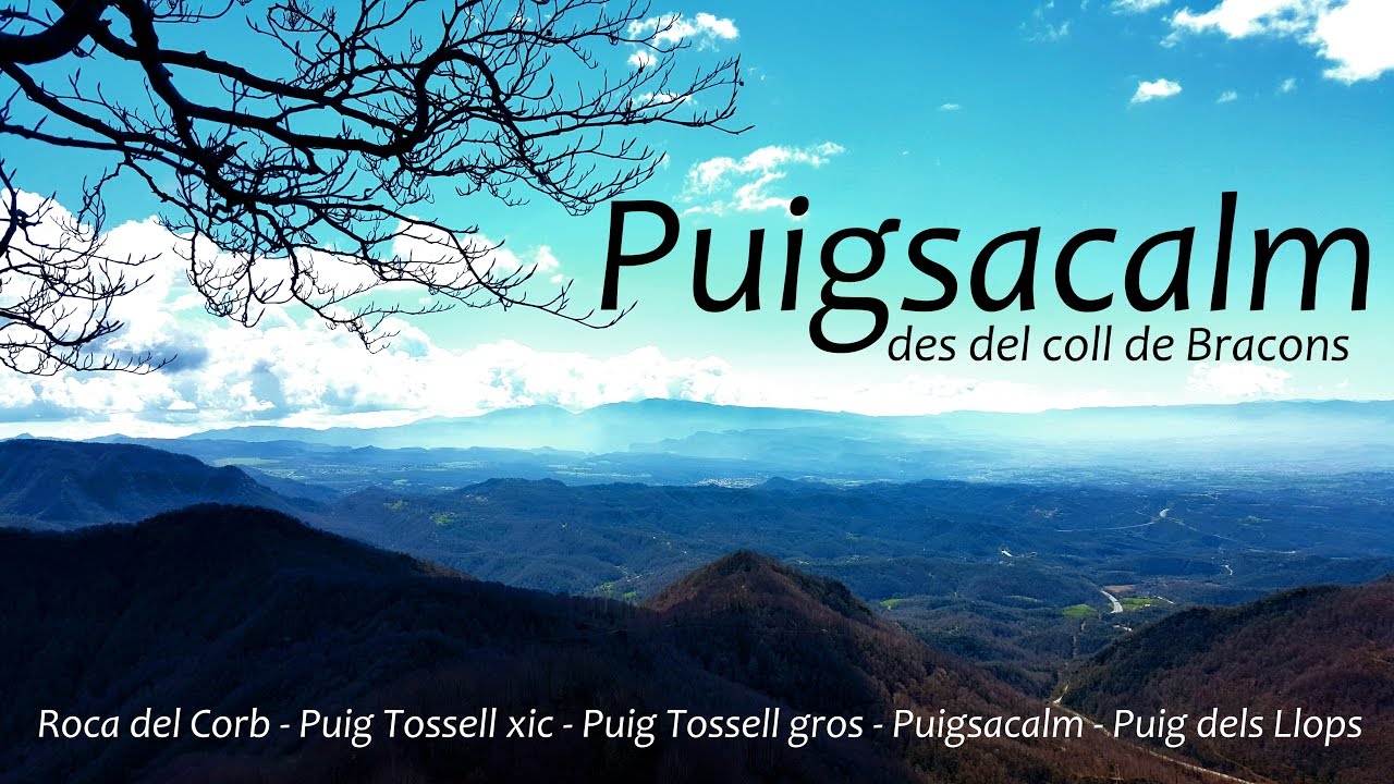 Puigsacalm des del coll de Bracons