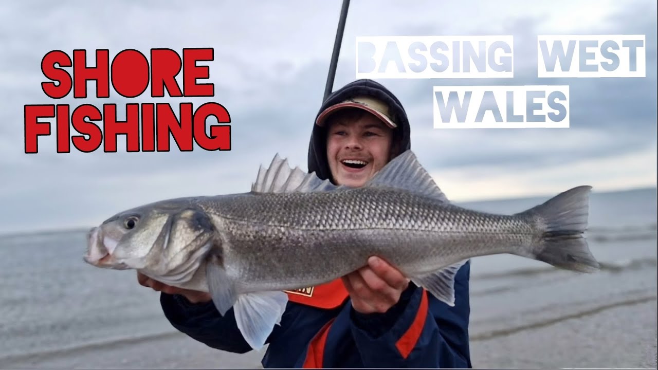 Shore fishing – PB bass in Western Wales