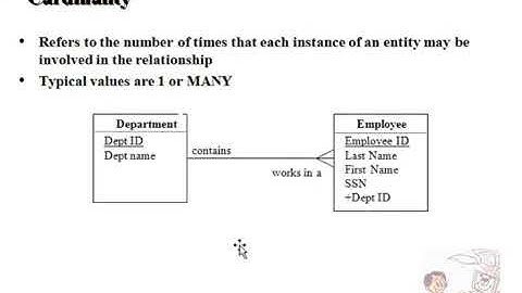 Informatica ER Properties & Cardinality 1