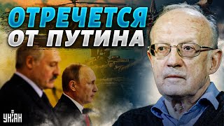 Лукашенко предаст Путина после бегства россиян из Мелитополя - Пионтковский