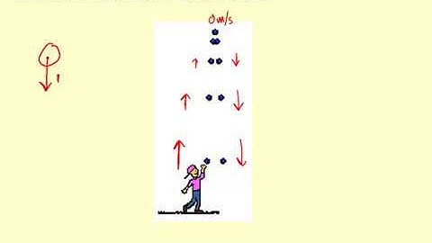 1.08 Velocity time graphs 3