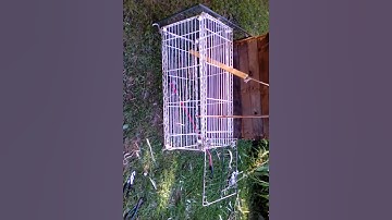 homemade live trap made from trash