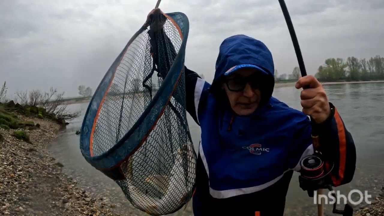 Feeder in PO.... "Treni in canna".... 