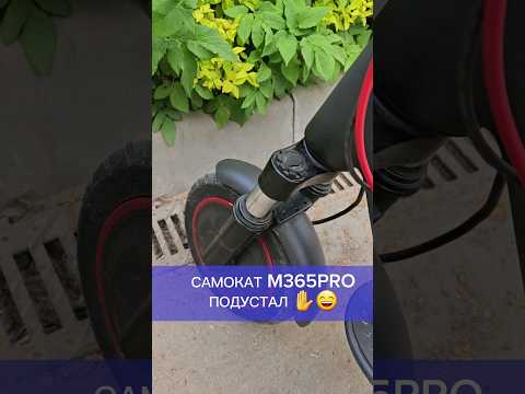 Самокат Xiaomi M365