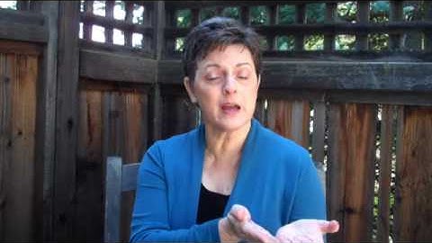 Verna Allee on Integrating Value Networks into the Traditional Organization video