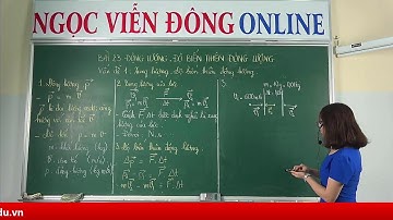 Vật lý 10 - Ôn tập: XUNG LƯỢNG - ĐỘ BIẾN THIÊN ĐỘNG LƯỢNG - Chương trình Phổ thông lớp 10