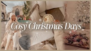 COSY CHRISTMAS DAYS | christmas shopping, house cleaning, festive cheeseboard & night routine