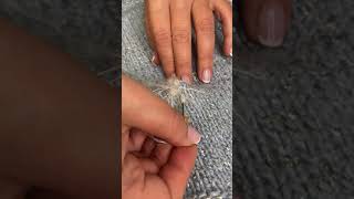 картинка: Вышиваем одуванчик с Леной Родиной