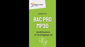 BAC PRO MP3D - St Félix-La Salle
