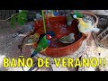 MI VOLADERA EN VERANO 🐥 ¡BAÑO TOTAL!