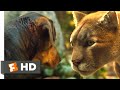 A dogs way home 2018  big kitten returns scene 710  movieclips