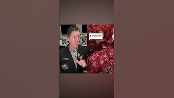 What would happen if SCP-682 went inside SCP-002? 🤔 #drsherman #site42 #scp #scpfoundation